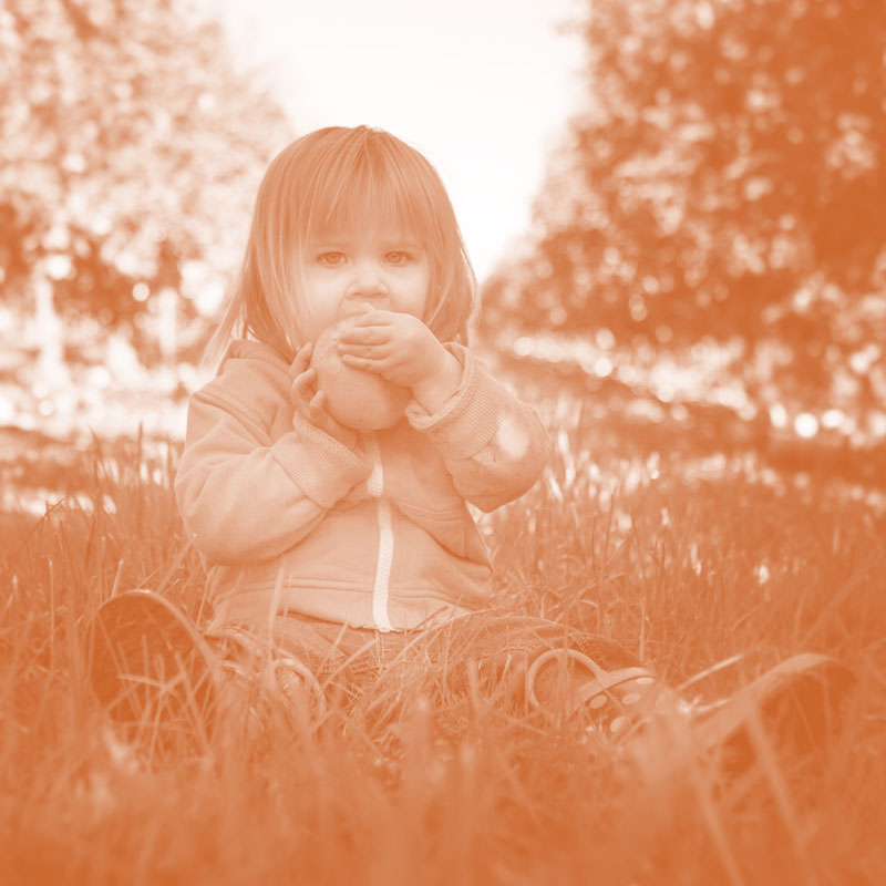 freeze-dry-Industries