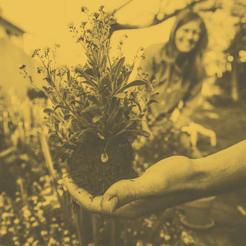 Gardener-yellow