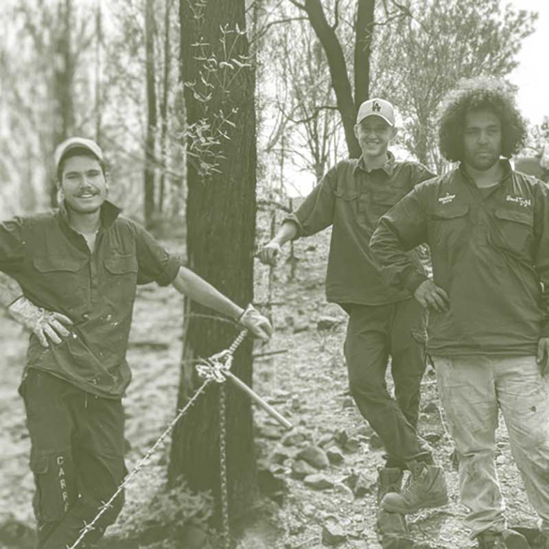 Back-Track-three-young-males-fencing